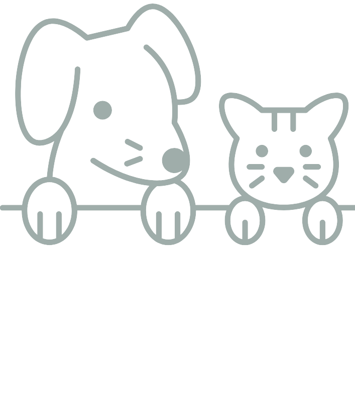 dog&cat